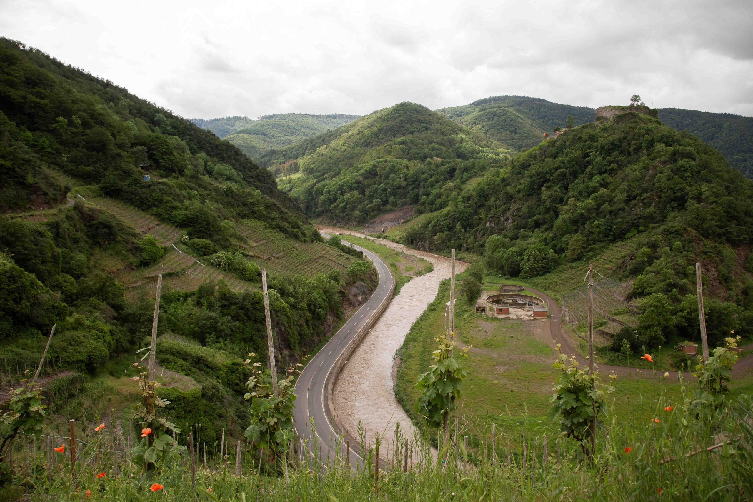 The River and The Risk